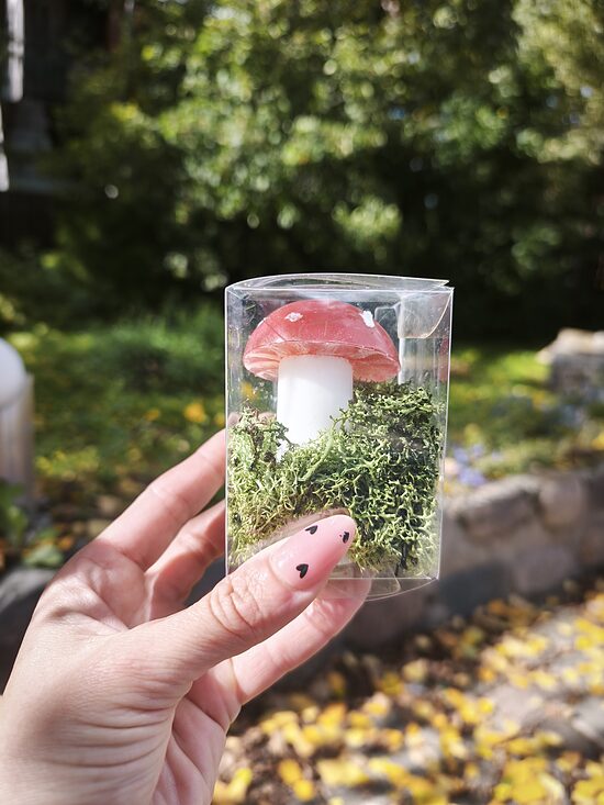 Mushroom soap - decoration